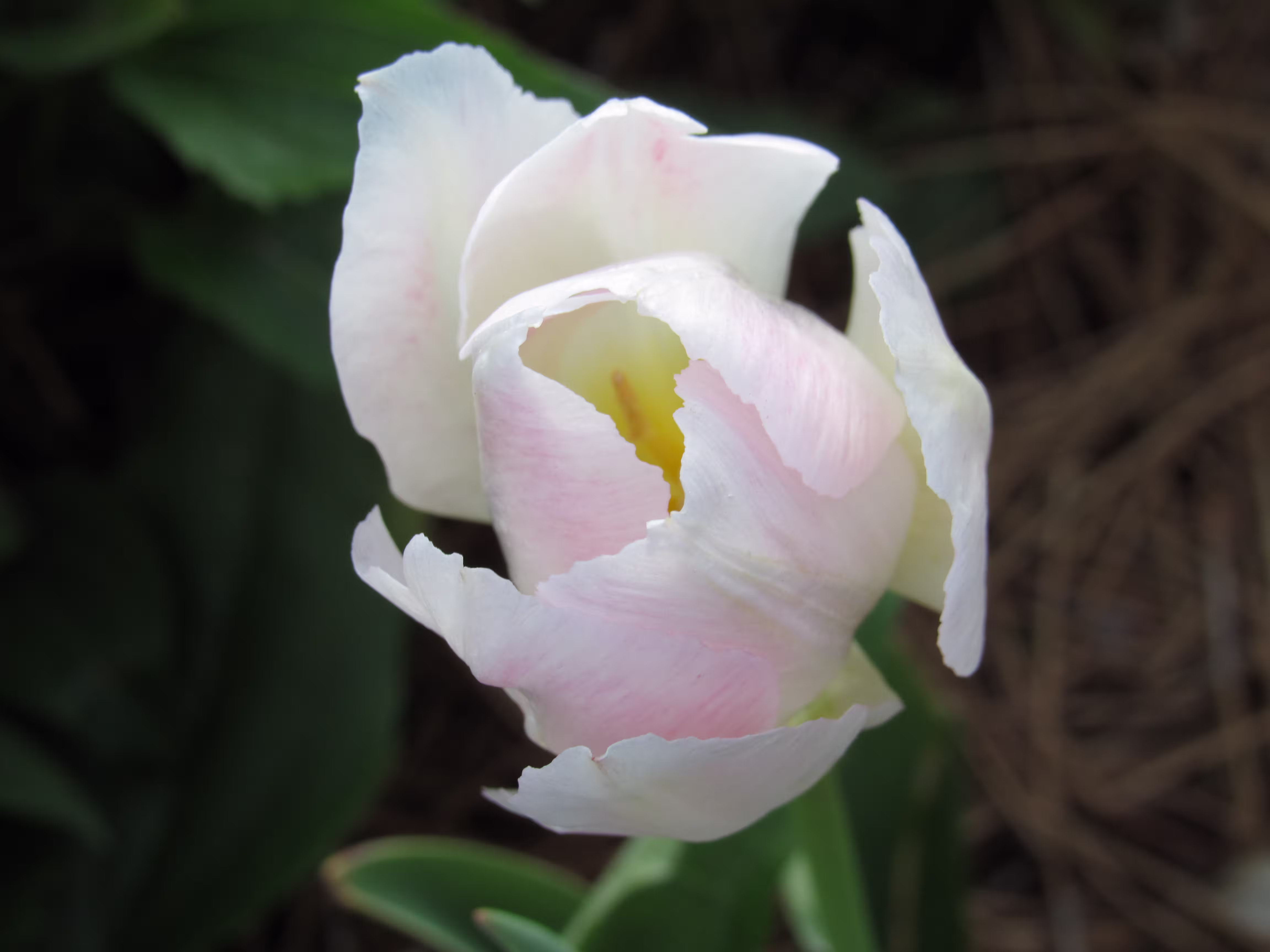 Image 0812